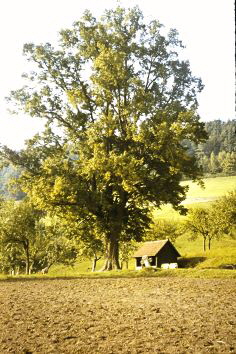 quelle: nachlass g. kemnitz 22.9.1971