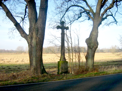 urheber: botaurus stellaris