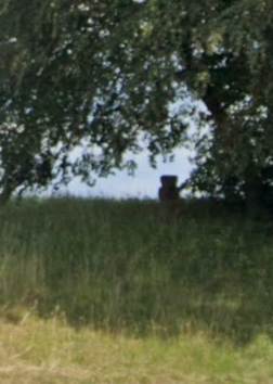 quelle: google.com-maps-moorenweis-street  view