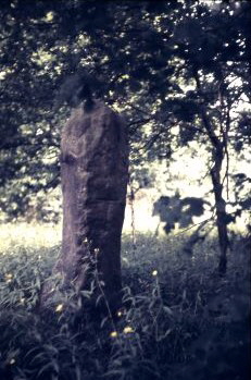 quelle: nachlass g. kemnitz 5.8.1970